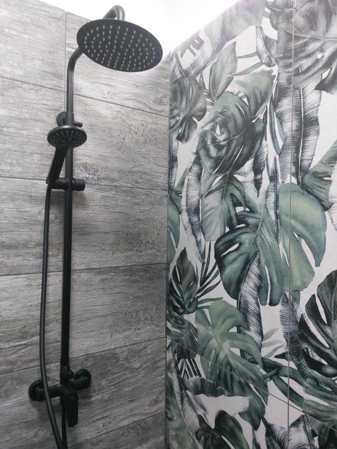 סגד Fand Center Apartman Luxury מראה חיצוני תמונה