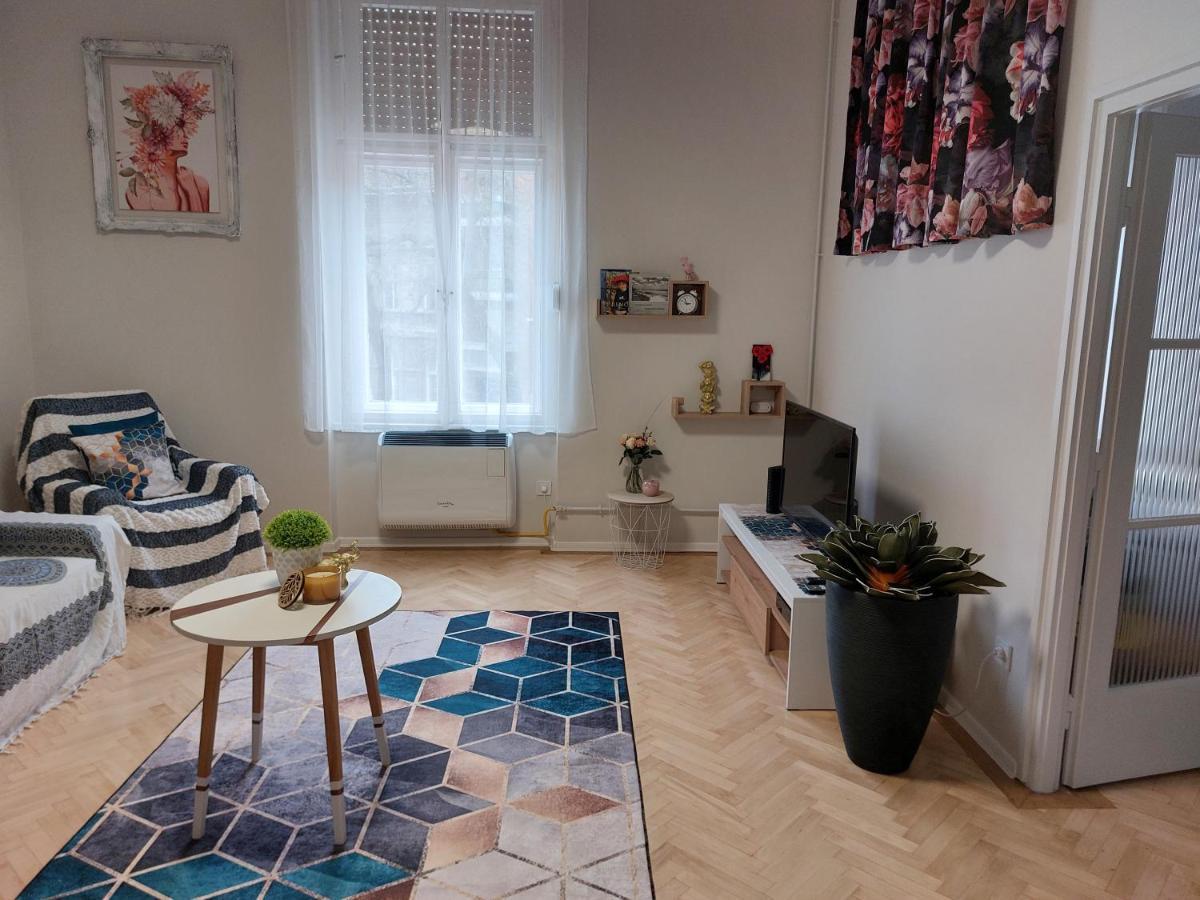 סגד Fand Center Apartman Luxury מראה חיצוני תמונה